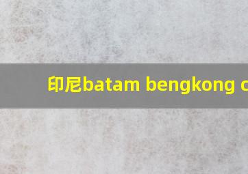 印尼batam bengkong city